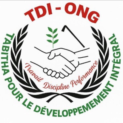Logo officiel de TDI-ONG